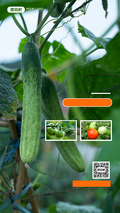 农产品特卖促销时尚简约手机海报背景