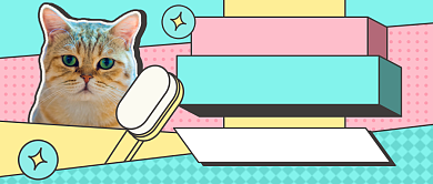 撞色宠物店促销新媒体首图背景