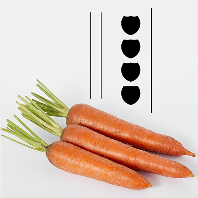 胡萝卜蔬菜食品淘宝主图直通车模板背景