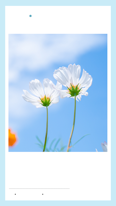 简约早安书签文章配图背景