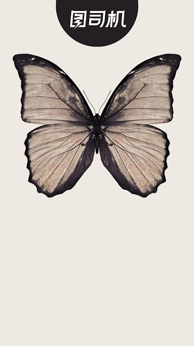 企业文化清新脱俗时尚简约复古手机海报背景