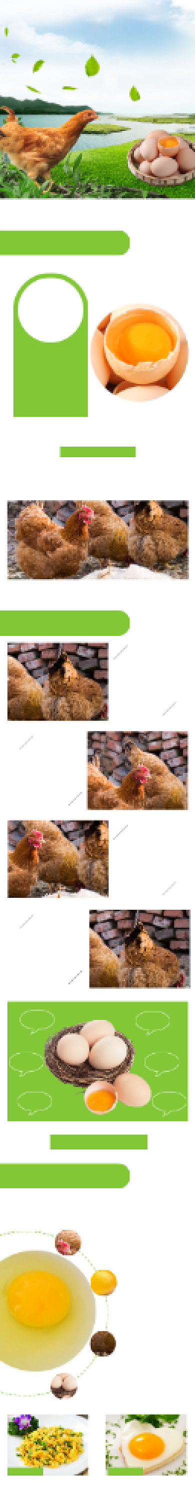 鸡蛋详情页时尚简约电商精选绿色背景