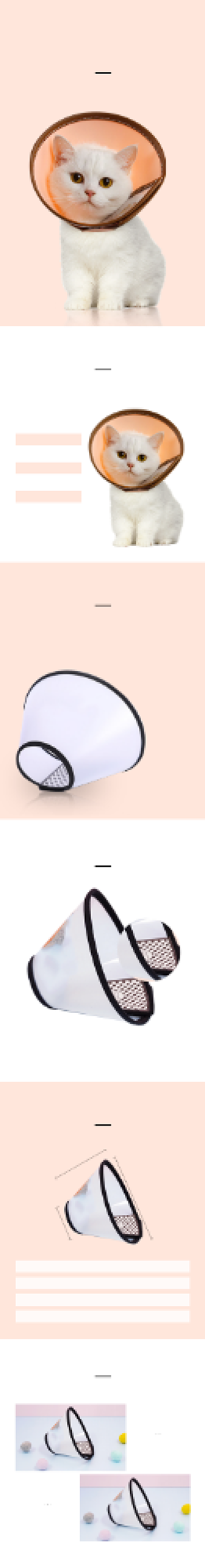 伊丽莎白圈保护圈宠物鲜花详情页背景