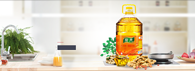 家居粮油风格淘宝菜油海报背景