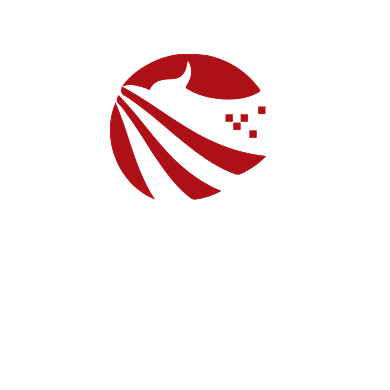 科技电子老鹰LOGO背景