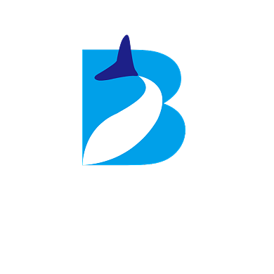 创意B字母鲸鱼LOGO背景