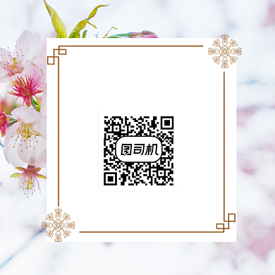婚庆设计策划小清新方形二维码背景
