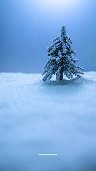 圣诞节圣诞树雪地质感摄影手机海报背景