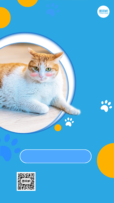 宠物门店会员日写实动物宣传手机海报背景