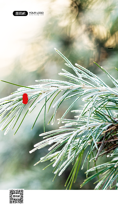 小寒节气24节气写实手机海报背景