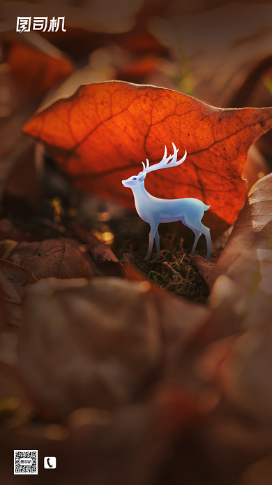 房地产传统节气白露手机海报背景