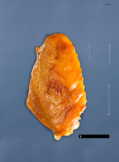 深夜美食鸡翅中美味小吃餐饮印刷海报背景