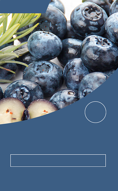 蓝莓水果蓝色简约风食品标签不干胶背景