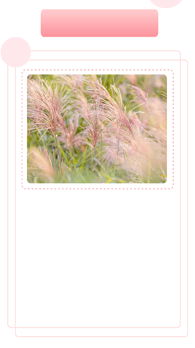 粉色简约再见2020年回首文章配图背景