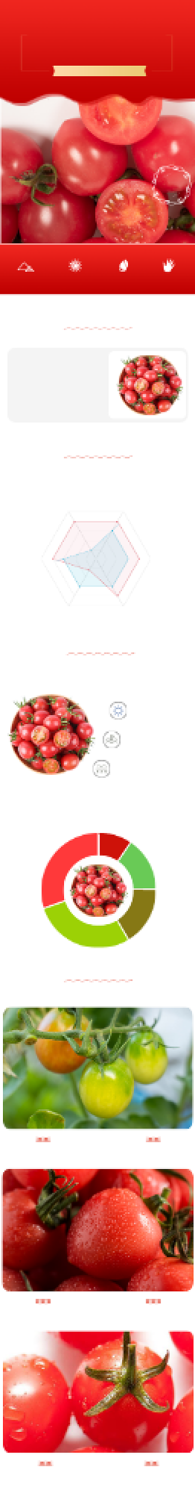 生鲜蔬菜番茄西红柿详情页背景