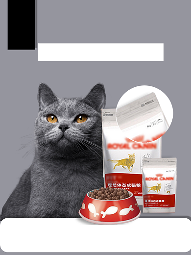 宠物猫粮类淘宝直通车活动主图背景