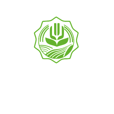 高端大气麦穗标志LOGO背景