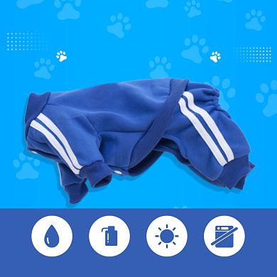 小狗宠物衣服棉质舒适主图背景