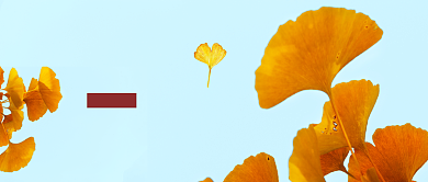 文艺小清新旅游记看银杏公众号首图背景