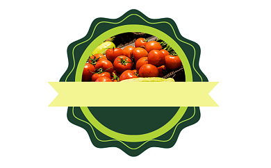 蔬果绿色食物简约标签不干胶背景