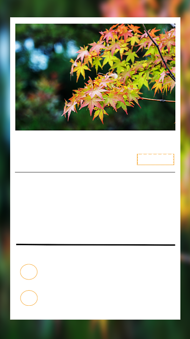 清新枫叶早安日签海报背景