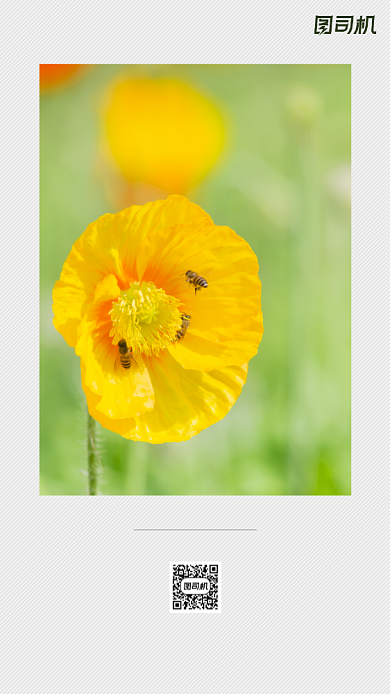 励志早安签到手机海报背景