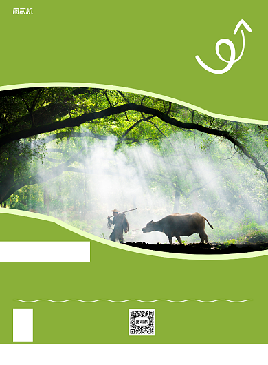 福建双飞旅游绿色写实宣传海报背景