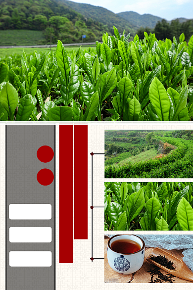 茶叶红茶类淘宝直通车茶艺拼图主图背景