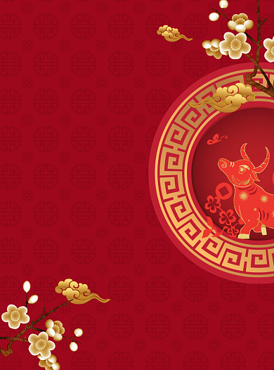 年货节老年服装促销红色宣传单背景