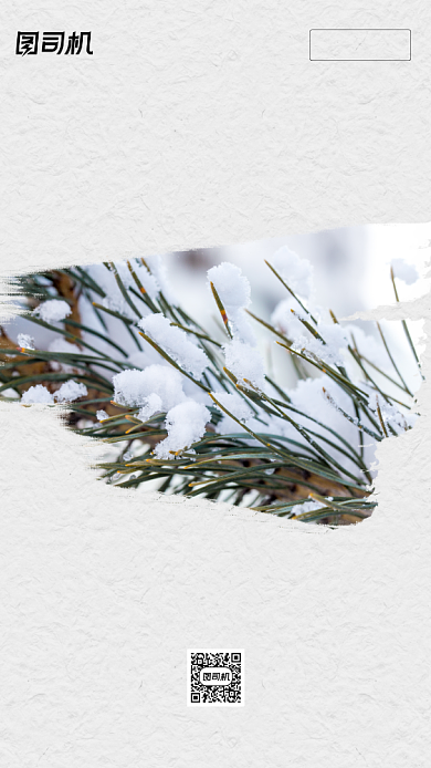 小寒节气冬天寒冷雾凇水墨写实手机海报背景