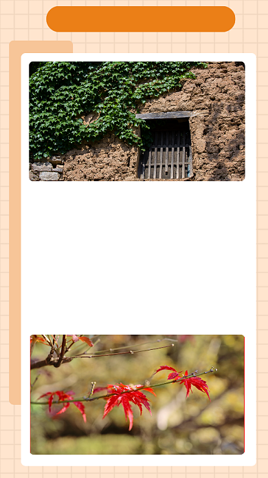 黄色简约关于心态文章配图背景