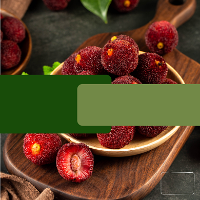 杨梅水果食品淘宝主图直通车模板背景