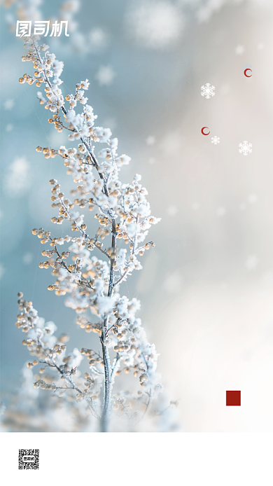 大寒传统节气大气简约手机海报背景