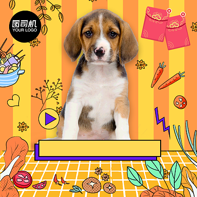 年货节宠物零食食品直播间预告主图直通车背景