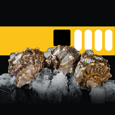 海螺海鲜食品淘宝主图直通车模板背景