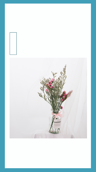 简约早安文艺花卉书签文章配图背景