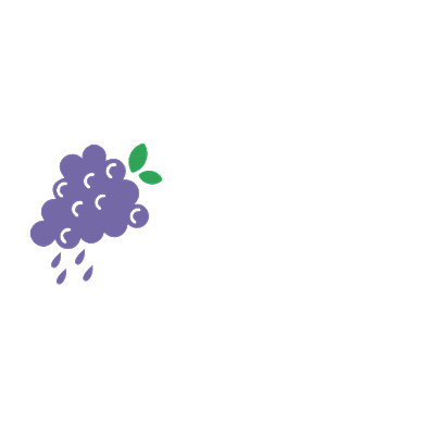 创意水果店葡萄OGO标志VI背景