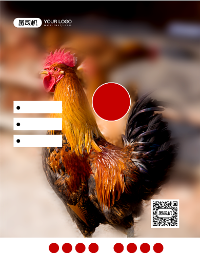 大公鸡简约餐饮美食摄影图印刷海报背景