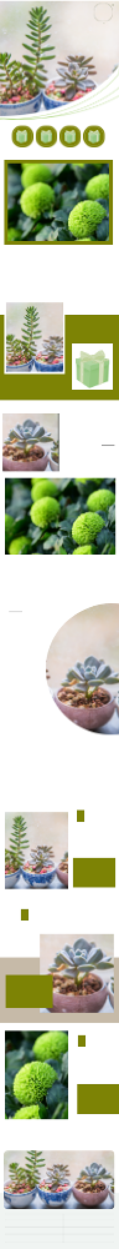 室内绿植空气清洁环境绿色详情页背景