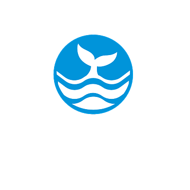 鲸鱼教育冲浪logo背景
