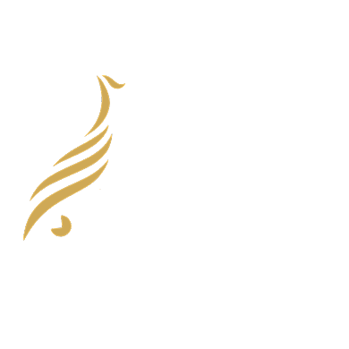 凤凰服饰羽毛服装店女装LOGO背景