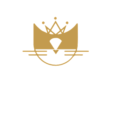 小猫珠宝饰品店LOGO背景