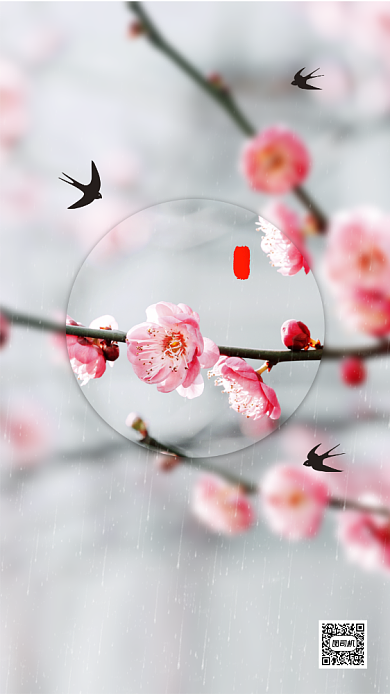 立春节气简约清新摄影节气手机海报背景