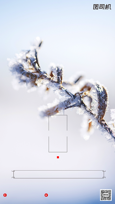 霜降节气文艺冰霜摄影图手机海报背景