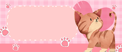 猫咪可爱公众号首图背景