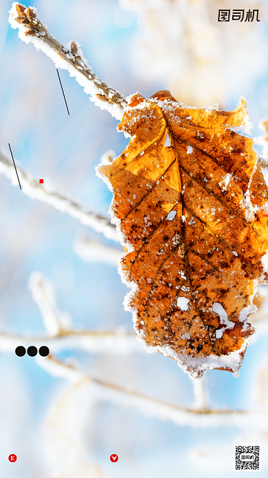 霜降节气摄影图文艺清新简约手机海报背景