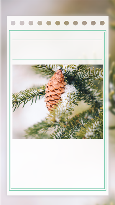 松树摄影图小雪清新名言日签手机海报背景