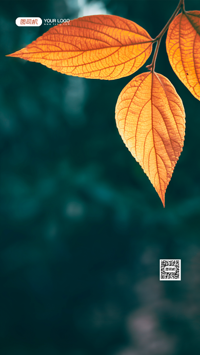 企业宣传励志文案摄影图手机海报背景