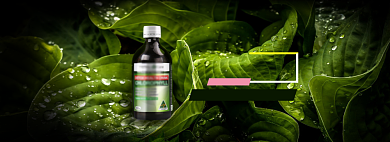 绿色健康保健品海报背景