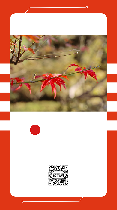 日签文艺风手机海报背景